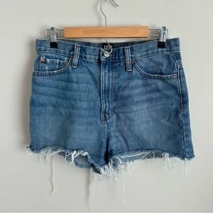 Urban Outfitters | BDG Girlfriend High-Rise Cutoff Shorts Size 29